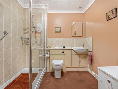 Picture 7
